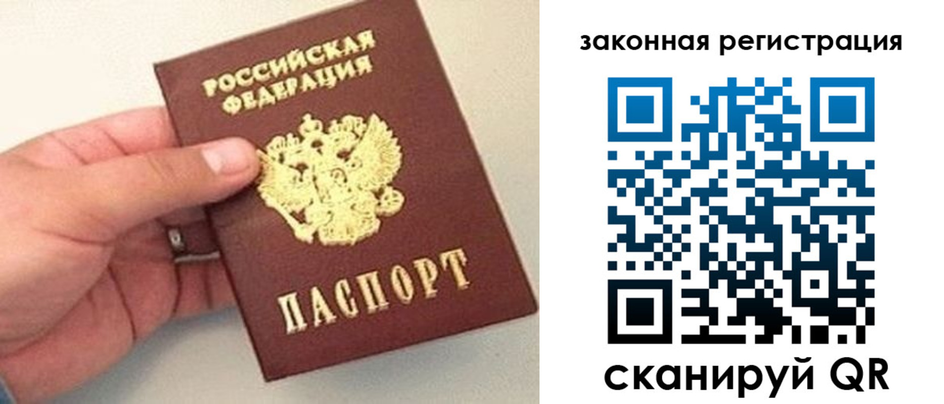 прописка для школы в Ярославской области